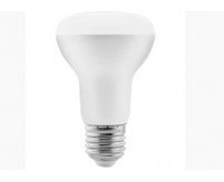 Can you put an LED bulb in any light?