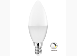 Dimmable Decoration LED Bulb