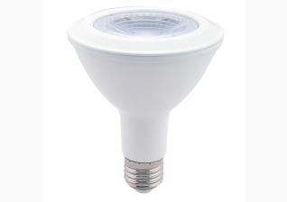 LED Par Light Bulb