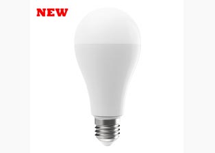 Emergency LED Bulb