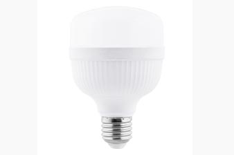 Ballet Series LED T Bulb